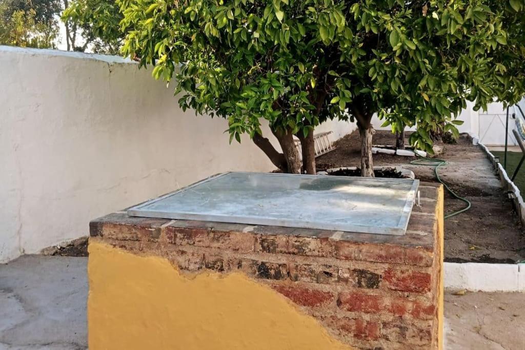 Вілла A Casa Do Barqueiro- Alentejo Pedrogao  Екстер'єр фото