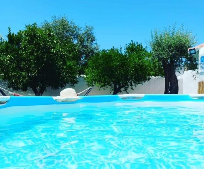 Вілла A Casa Do Barqueiro- Alentejo Pedrogao  Екстер'єр фото